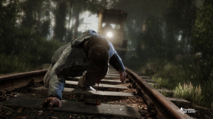 The Vanishing of Ethan Carter Screen 3